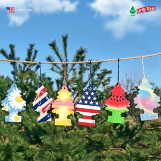 �̱�1�� ������ ��ƲƮ�� 6P