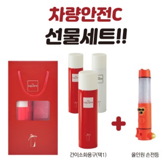 �������� C ������Ʈ