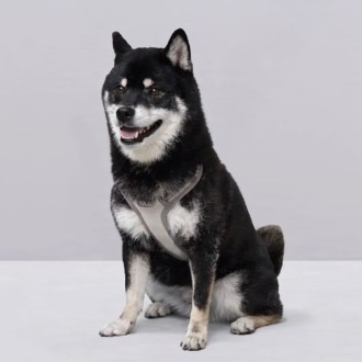 ���� ������ �ϳ׽� ���� ������ ������ ������ ������ȣ �⵵�й� ���� h�� y�� x�� ��å�� ������ ������ �ְ� �ݷ��� ��