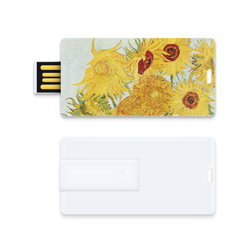 ���� CX02 �����̵� ī���� USB �޸� (8GB)