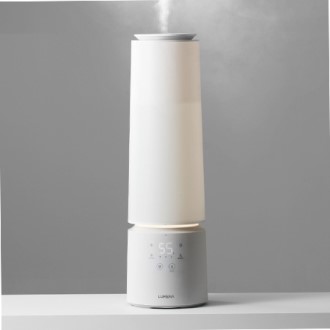 ��޳� MIST TOWER MAX ���ս� ������